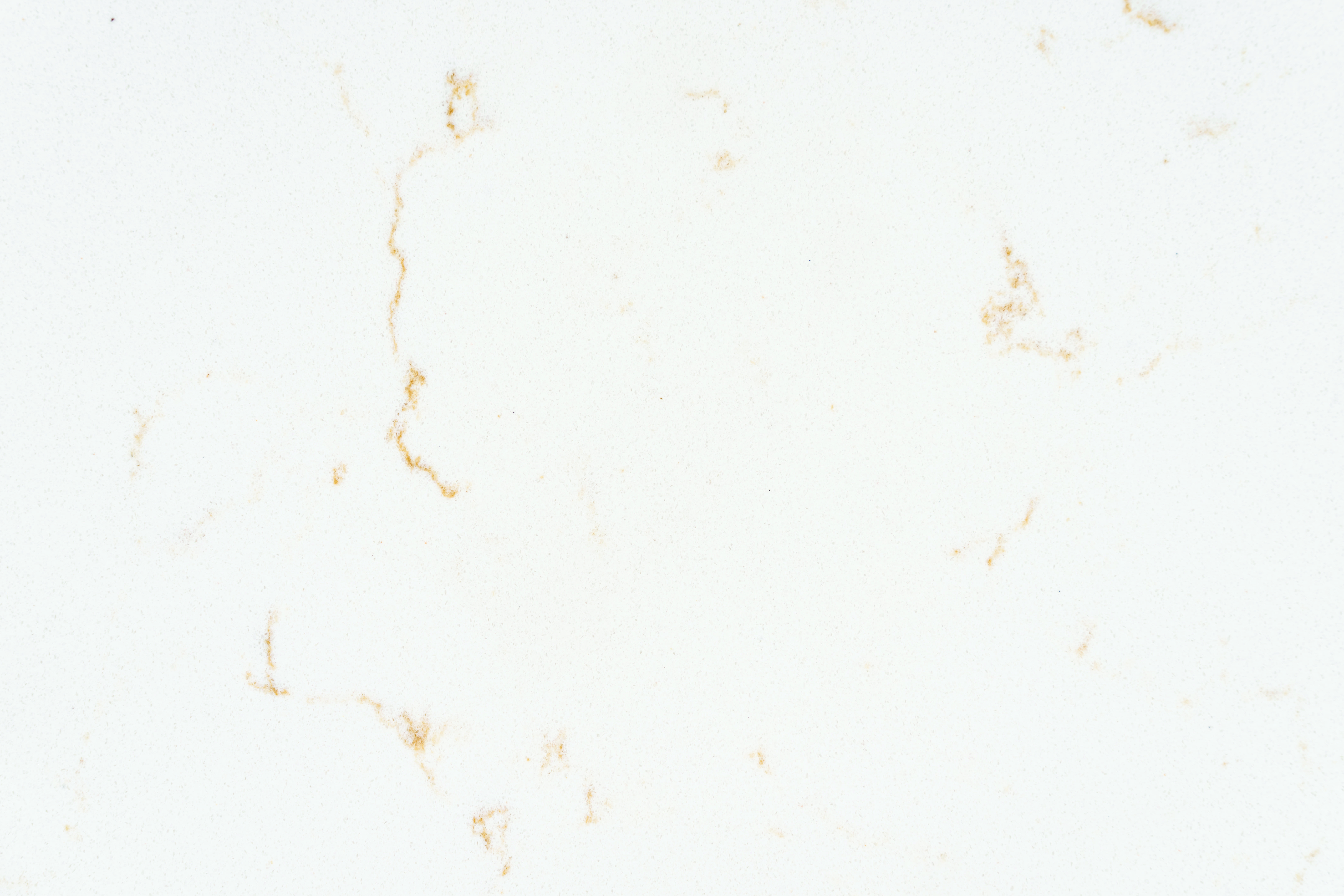 Carrara Florence Gold